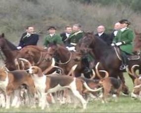 rencontre beagle
